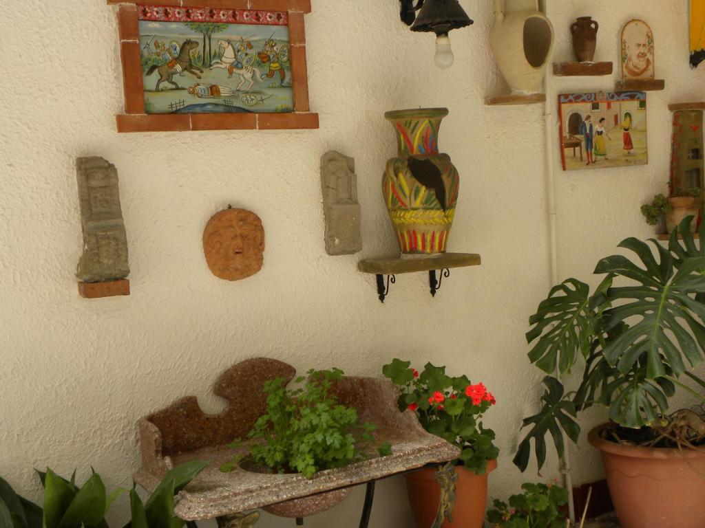 Fernanda Hotel Letoianni